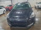 Ford Escape Titanium Image 11