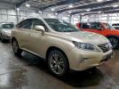Lexus RX 350 Base Image 4