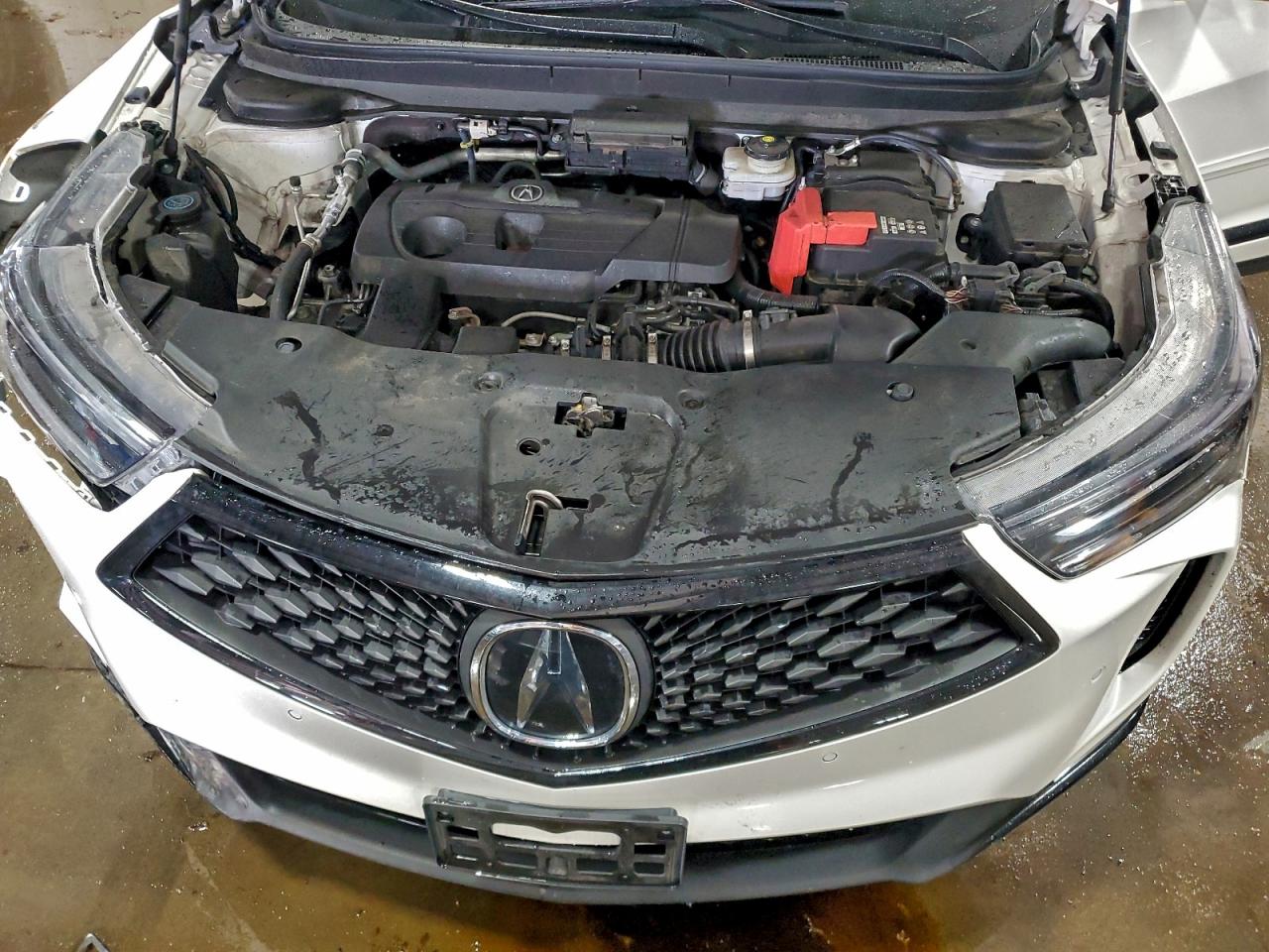 Acura RDX A-spec Image 10