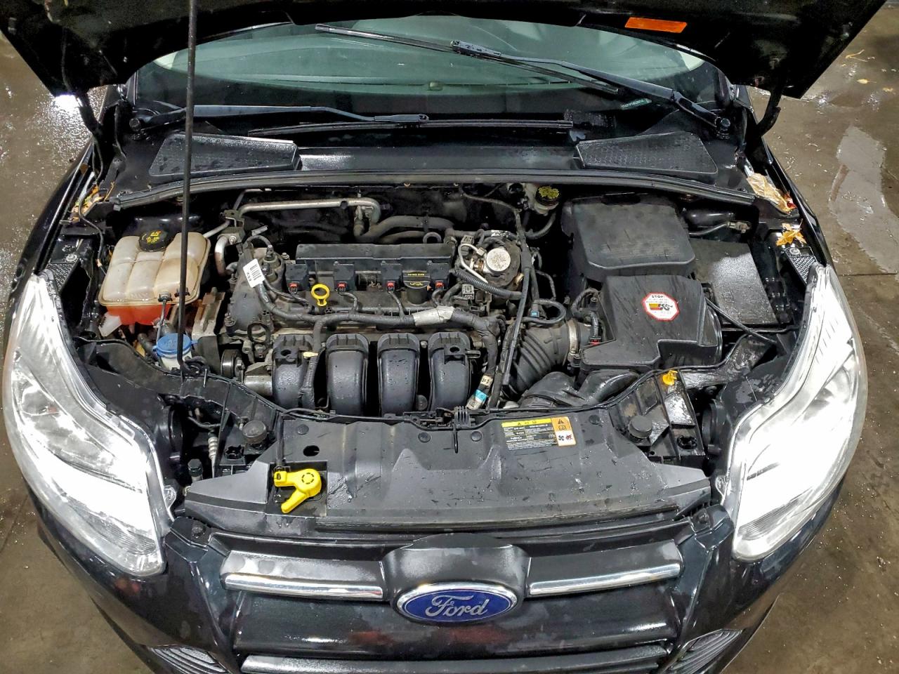 Ford Focus Se Image 4