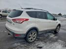 Ford Escape Sel Image 12