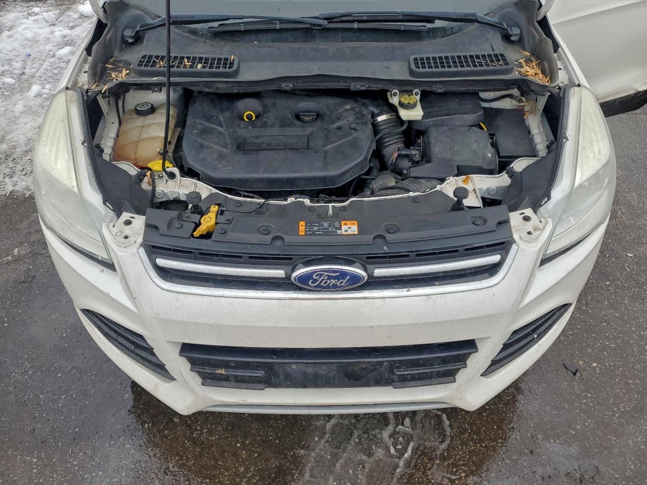 Ford Escape Sel Image 7